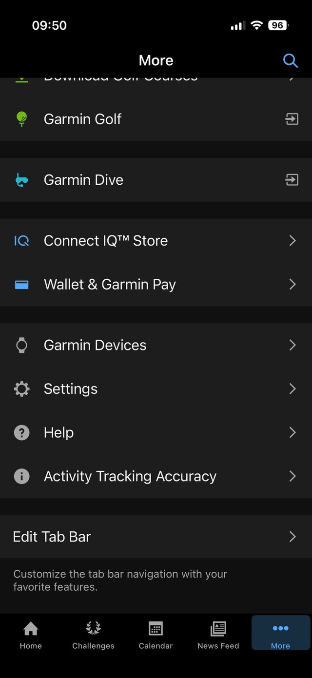 Menu Więcej w Garmin Connect z pozycją Connect IQ Store