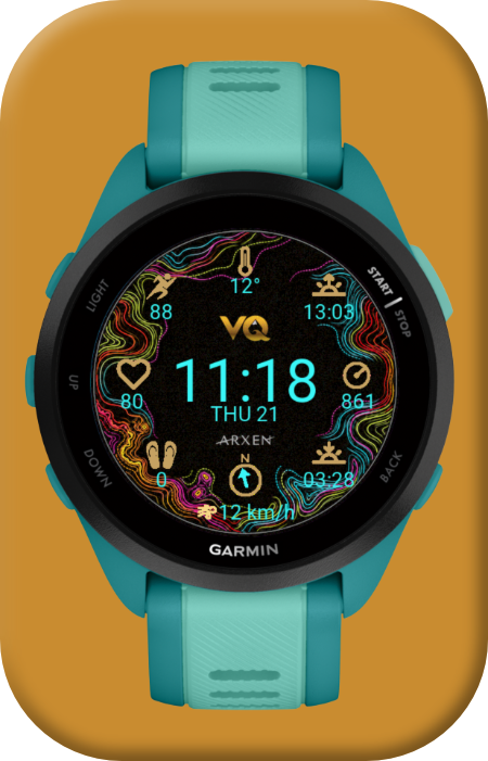 Vida Quechua watchface · battery and steps view